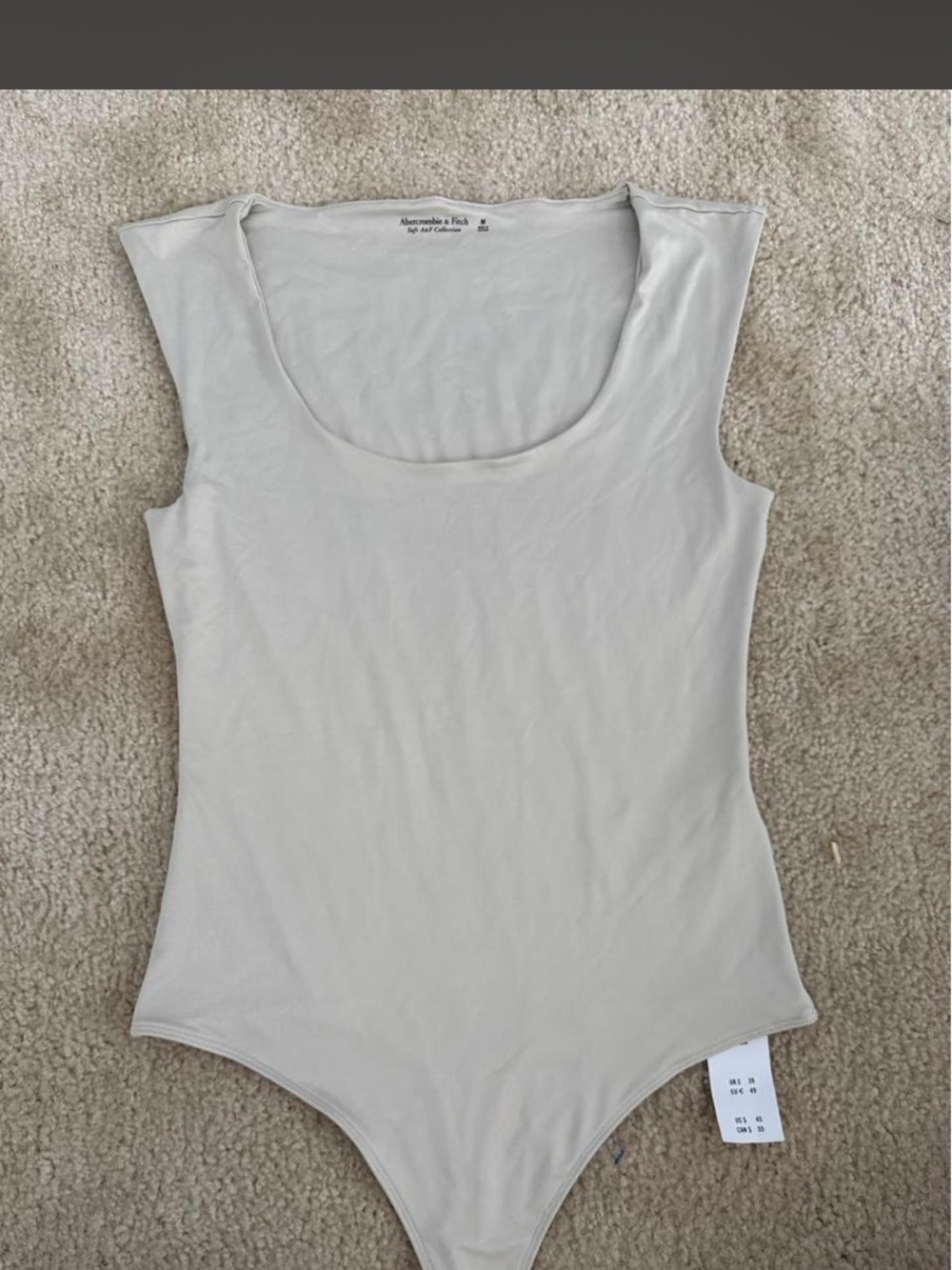 Abercrombie & Fitch Neutral Light Gray Scoop Neck Bodysuit